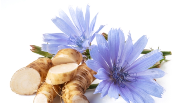 What is Inulin Used For.png